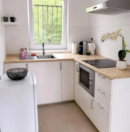Cosy 1 Avec Sdb Et Cuisine Apartment